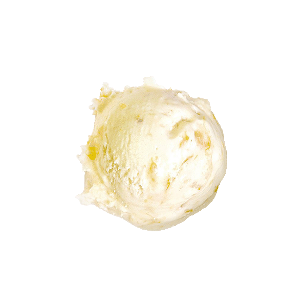 mediterraneo